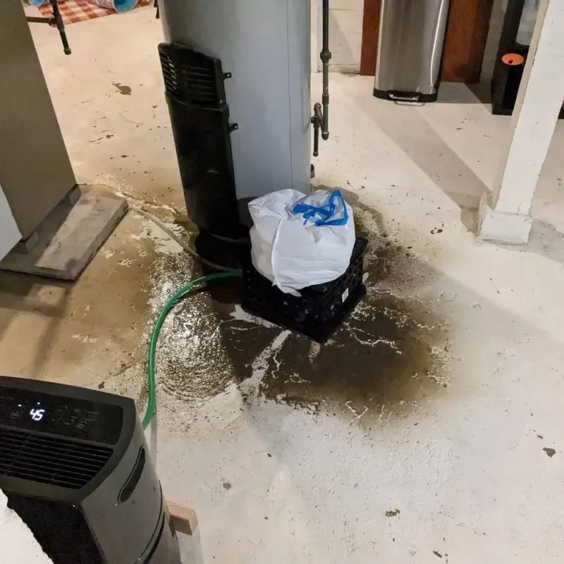 Sewage Backup Cleanup Service in Boulder City, NV